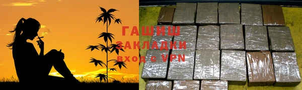 дмт Алзамай