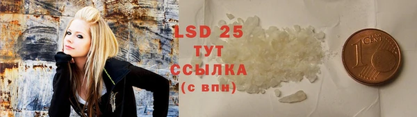 дмт Алзамай