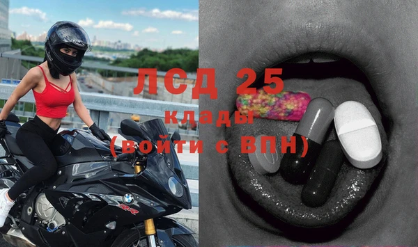 дмт Алзамай